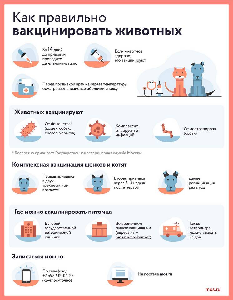 Как погасить ветеринарное свидетельство в системе Меркурий