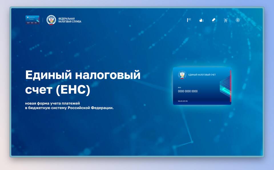 Как узнать баланс ЕНС юридического лица