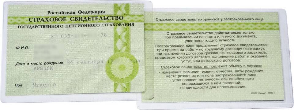 Как узнать СНИЛС ребенка онлайн бесплатно