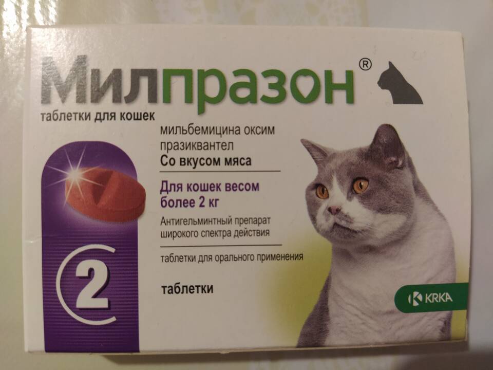 Милпразон для кошек: инструкция по применению