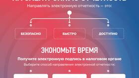 Что такое база ФНС в Аксон