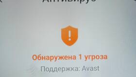 Что такое поддержка Avast в Аксон