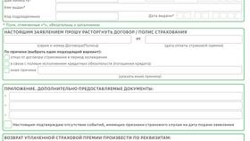 Что такое Сбер ОСАГО в Аксон