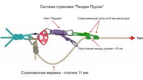 Что такое точечная страховка в Аксон