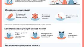 Как погасить ветеринарное свидетельство в системе Меркурий в Аксон