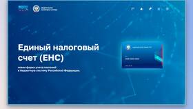 Как узнать баланс ЕНС юридического лица в Аксон