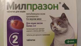 Милпразон для кошек: инструкция по применению в Аксон