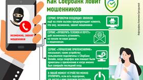 Почему могли отключить СберБанк в Аксон