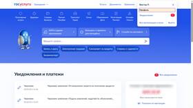 Почему не открывается сайт Госуслуги в Аксон