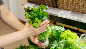 Причины продажи сети магазинов ВкусВилл в Аксон